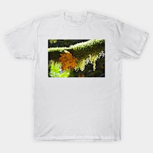 Autumn in the PNW T-Shirt